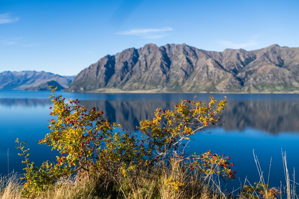 Lake Hawea