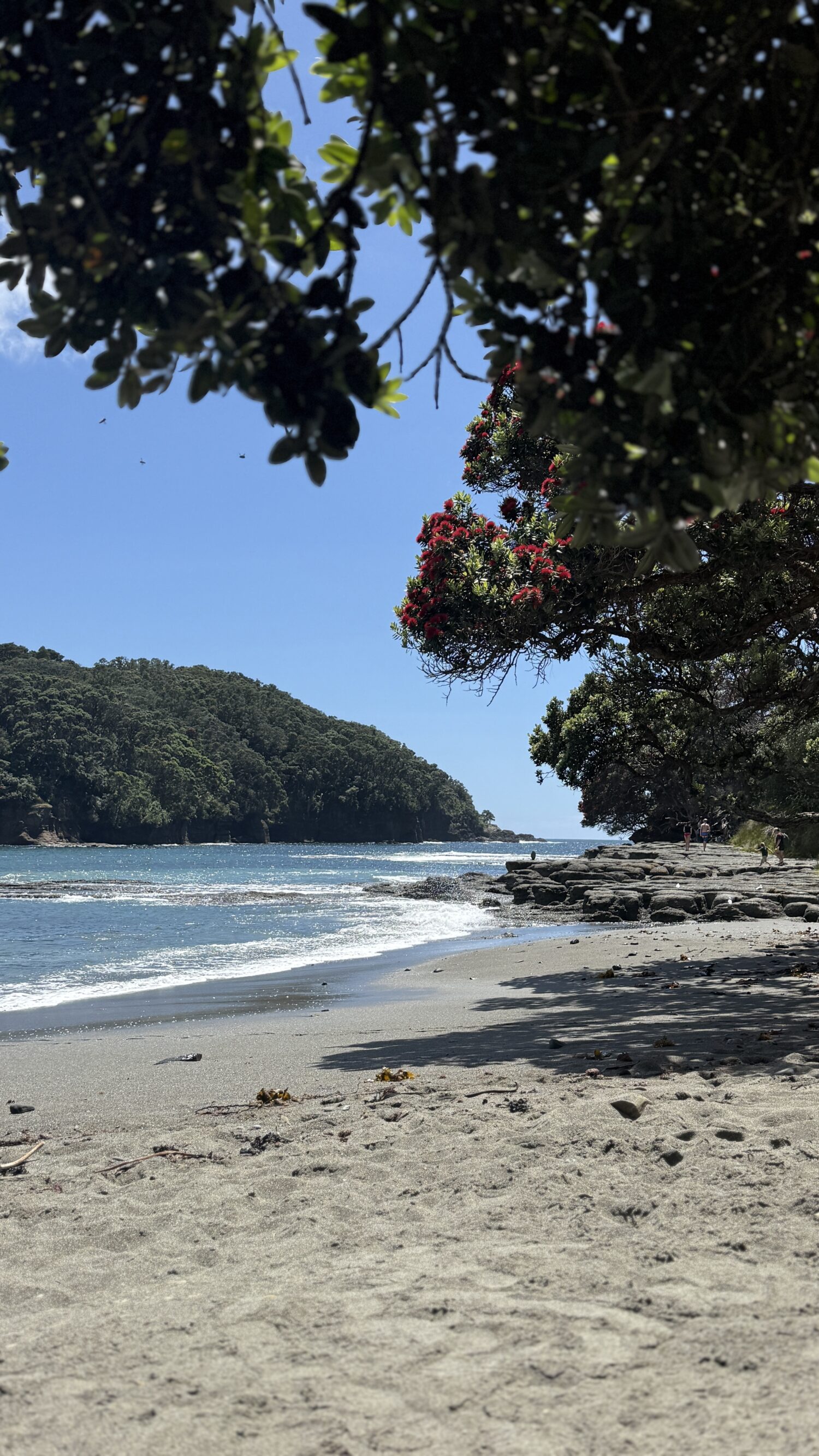 Goat Island